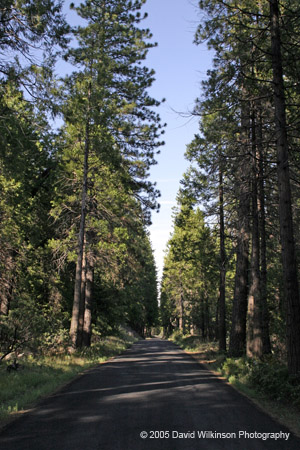 CountryRoad