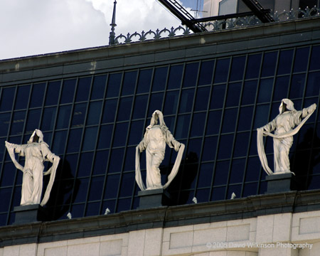 Sentinels