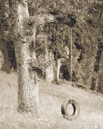 Trees002