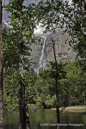 YosemiteInSpring