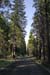 CountryRoad