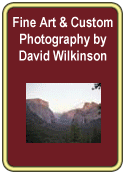 Custom Photography by David Wilkinson